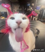 Guest_TrippyKay