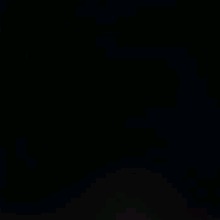 Guest_Vereo200