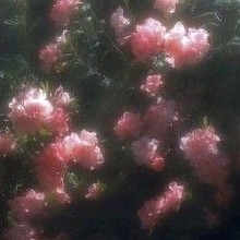 Guest_lovexthv4