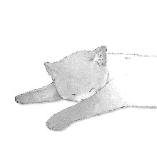 Guest_Lola532205