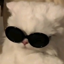 Guest_TanjiroOo0