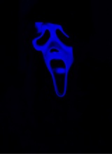 Guest_L4CEY