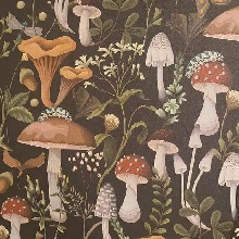 Guest_HelloImBaked14
