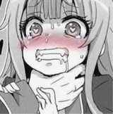 Guest_seraoo