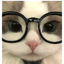 Guest_Sohyeejane