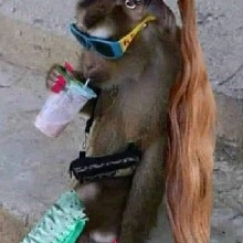 Brat2uall