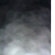 Guest_Deserthurricane