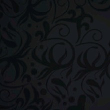 Guest_Eli190970