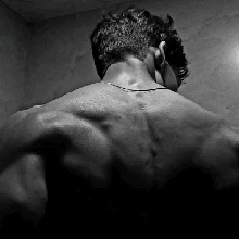 Guest_Desill