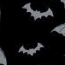 Guest_Ariana3761083