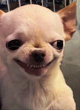 FtyBtA