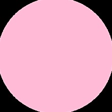 Guest_Fernanda139300