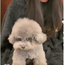Guest_yuminx