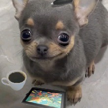 Guest_XAltairaX