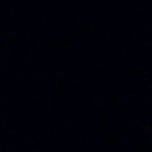 Guest_Luna416557