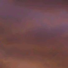 Guest_lavenderbronze2530