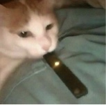 jimmy771
