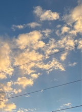 Guest_n0v4111