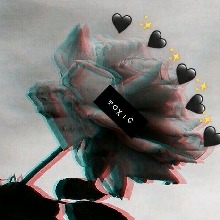 Guest_Harlyn28