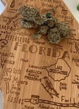 vince305