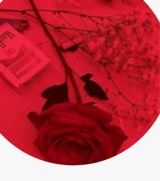 Guest_ee20