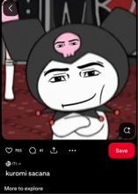 Coco245445
