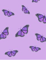 Guest_Abbie218985