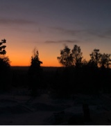 Guest_NotLayla18