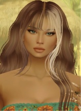صورة الـavatar