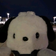 Guest_Daldalmi