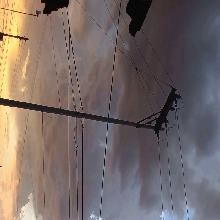 Guest_BereniceGonzalez1