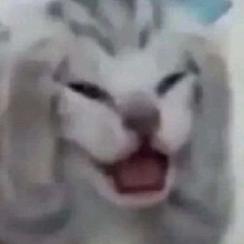 Guest_KTIEIEI1