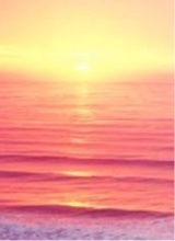 Guest_conceitedsbabygirl20