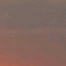 Guest_xcharxscflk
