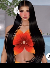 Guest_Charli274603