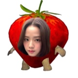 Guest_ZOELOERA