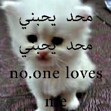 Guest_userinlovewhitmoney