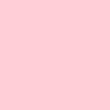 Guest_Lila828546