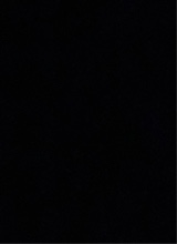 صورة الـavatar