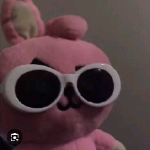 Guest_kaybraz
