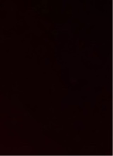 Guest_TrayV9