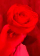 Guest_Torame