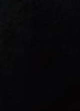 Guest_seliidk