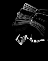 immagine avatar