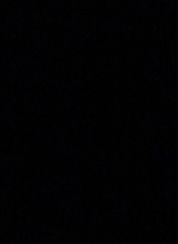 Guest_Jaylen309855