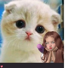 Guest_Elizabeth400957