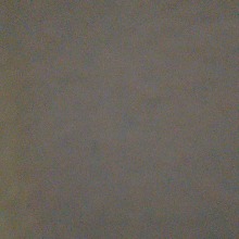 Guest_Travis560507