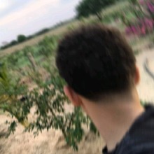 Guest_Lucas361324