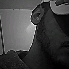 Guest_nervousmonkey7c66