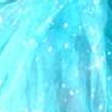 Guest_Vini926756